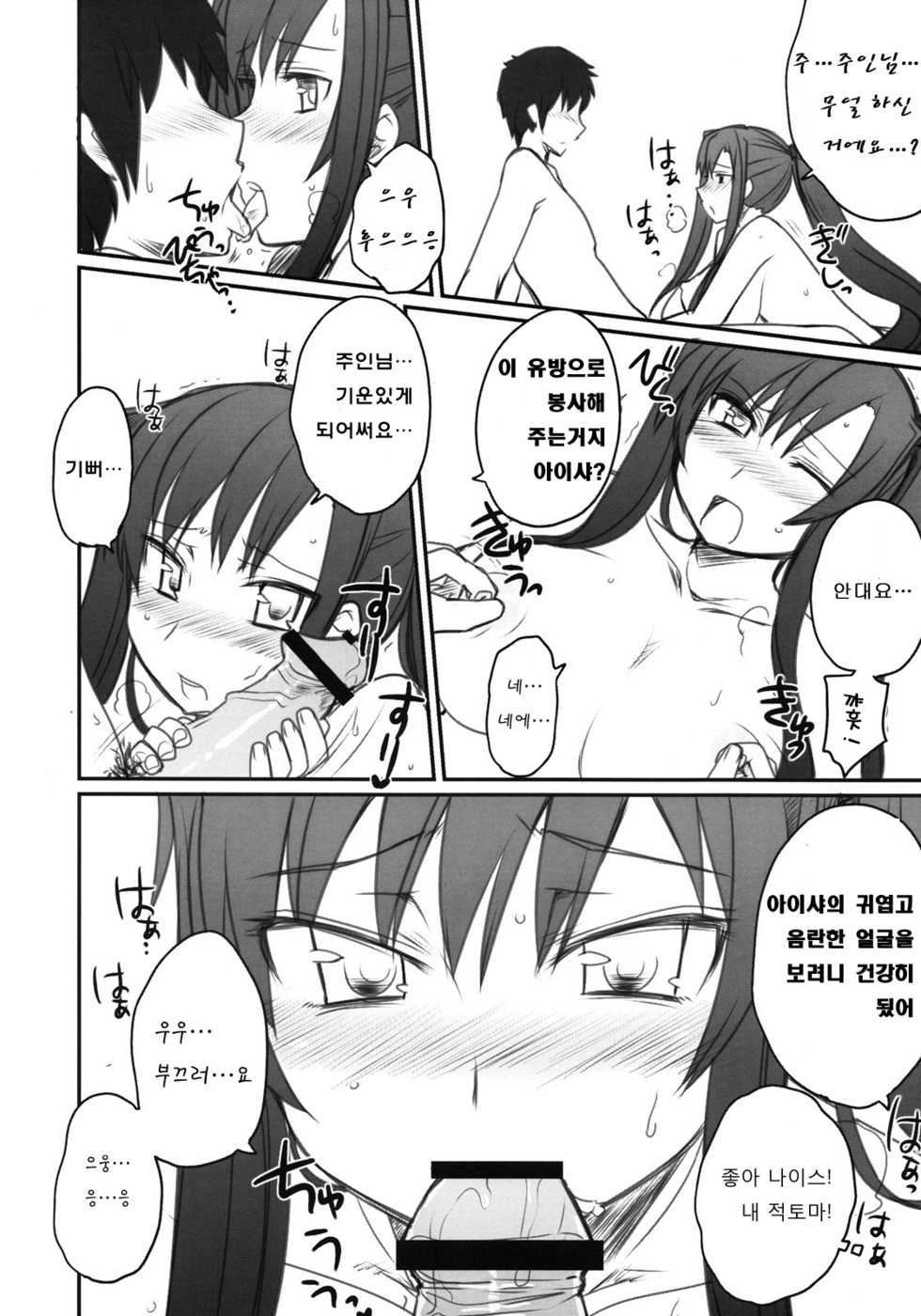 (C78) [Kotoshiki (Mukoujima Tenro)] Ryuuko Aiutsu!? | 용호상바악!? (Koihime Musou) [Korean] [팀☆면갤] - Page 11