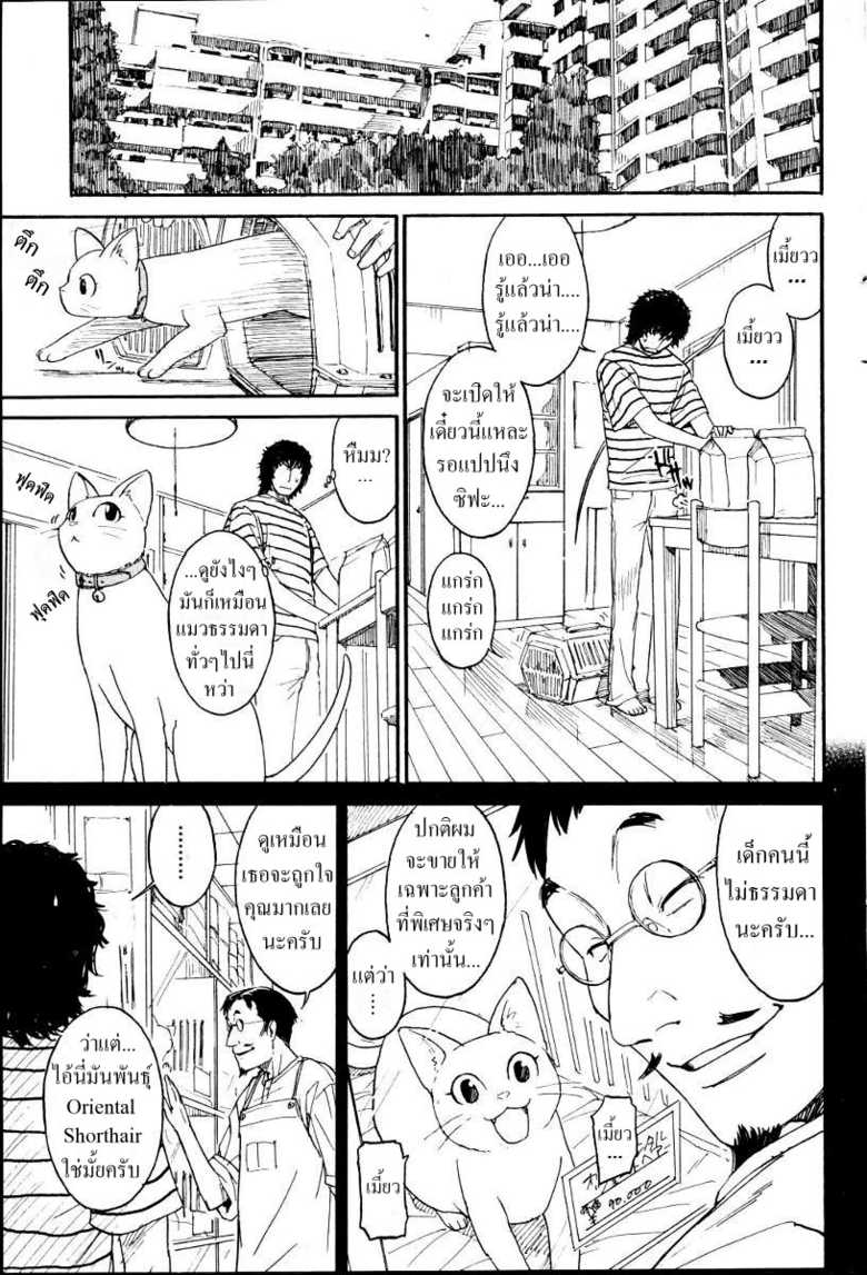 [Naruko Hanaharu] Nene Ch. 01-10 [Thai] - Page 3
