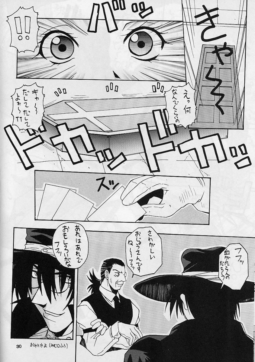 (C61) [MANGANA (Doluta, Nishimo)] Nyan Nyan Blood (Hellsing) - Page 29
