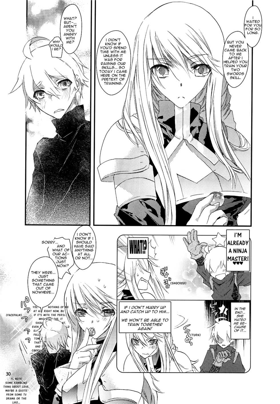 (C76) [Annin (Tooka)] Ninja Master (Final Fantasy Tactics) [English] =Team Vanilla= - Page 30