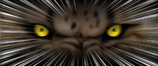 D-2Girls - Jungle Girl - Page 38