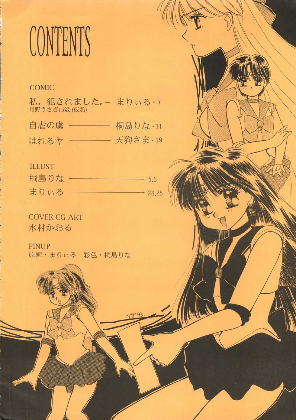 (C44) [D.D.GAPS (Various)] Gekkou (Bishoujo Senshi Sailor Moon) - Page 4