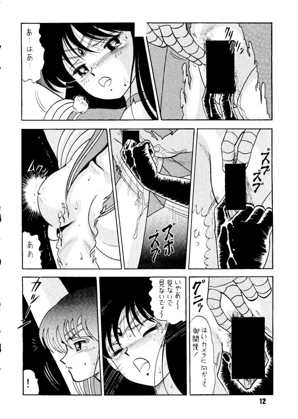 [Cross Fight!! (Gattai soutou)] Sairoku hon (Bishoujo Senshi Sailor Moon) - Page 11