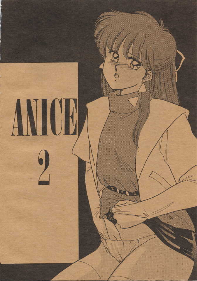 (C37) [Secret Society M (Kitahara Aki)] Anice 2 Gekkabijin (Sonic Soldier Borgman) - Page 3