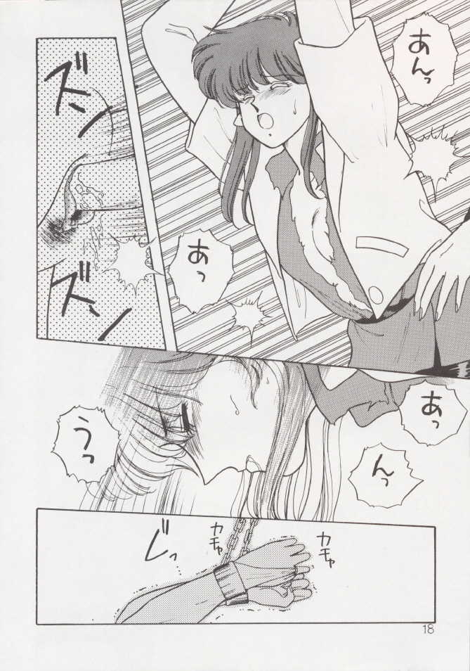 (C37) [Secret Society M (Kitahara Aki)] Anice 2 Gekkabijin (Sonic Soldier Borgman) - Page 17