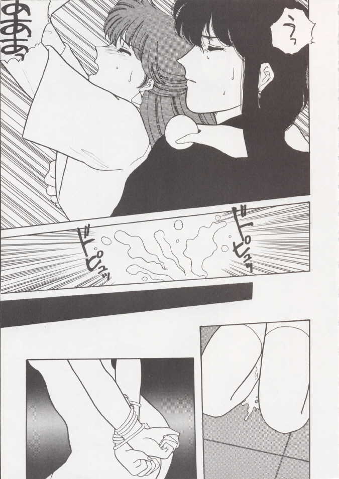 (C37) [Secret Society M (Kitahara Aki)] Anice 2 Gekkabijin (Sonic Soldier Borgman) - Page 18