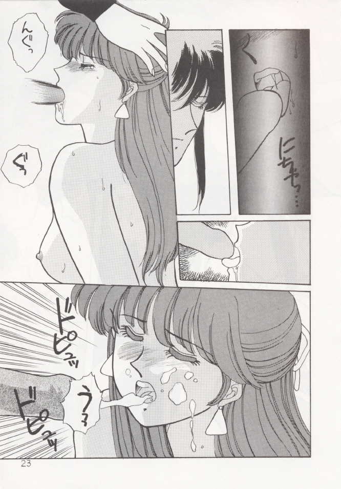 (C37) [Secret Society M (Kitahara Aki)] Anice 2 Gekkabijin (Sonic Soldier Borgman) - Page 22
