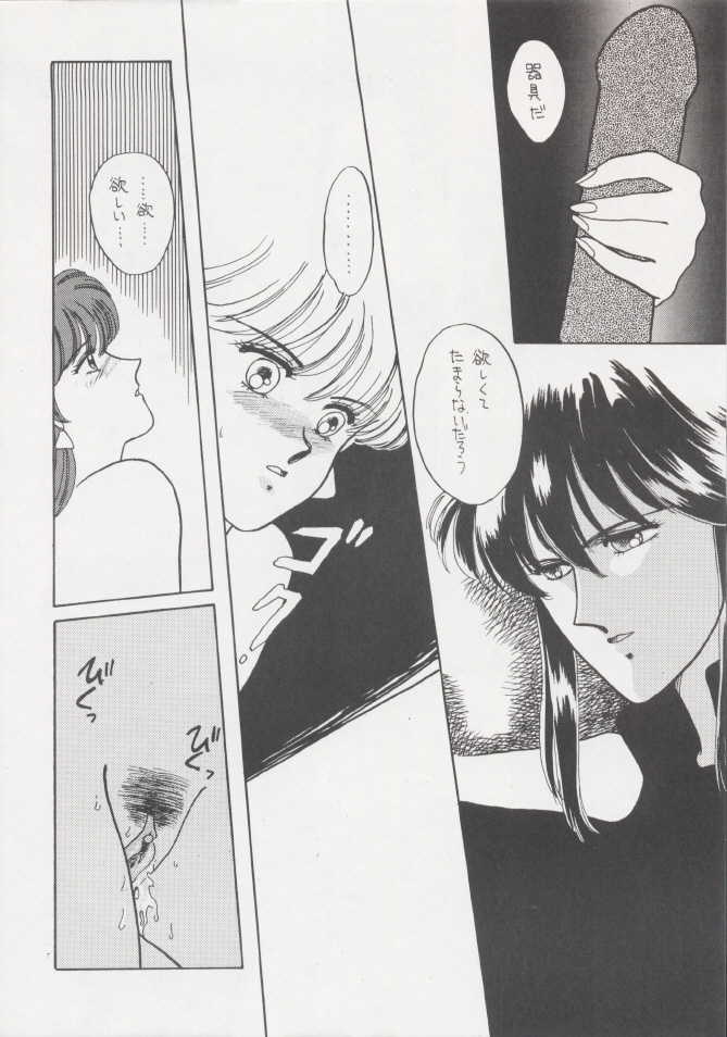 (C37) [Secret Society M (Kitahara Aki)] Anice 2 Gekkabijin (Sonic Soldier Borgman) - Page 37