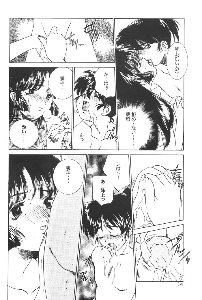 (C63) [Applesauce (Sada Ko-ji)] Mugen Jouya (Inuyasha) - Page 13