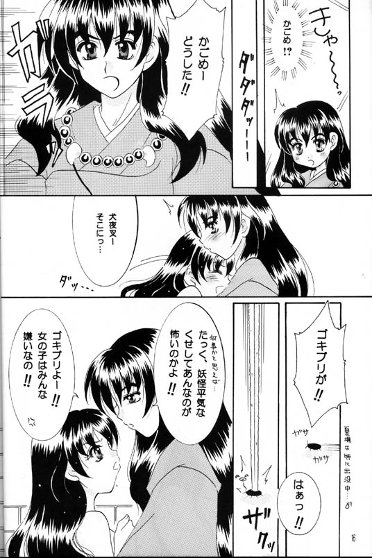 [Yukibana] Shingetsu no Hana (Inuyasha) - Page 15