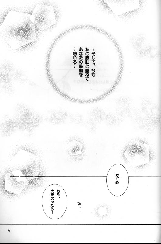 [Yukibana] Shingetsu no Hana (Inuyasha) - Page 34