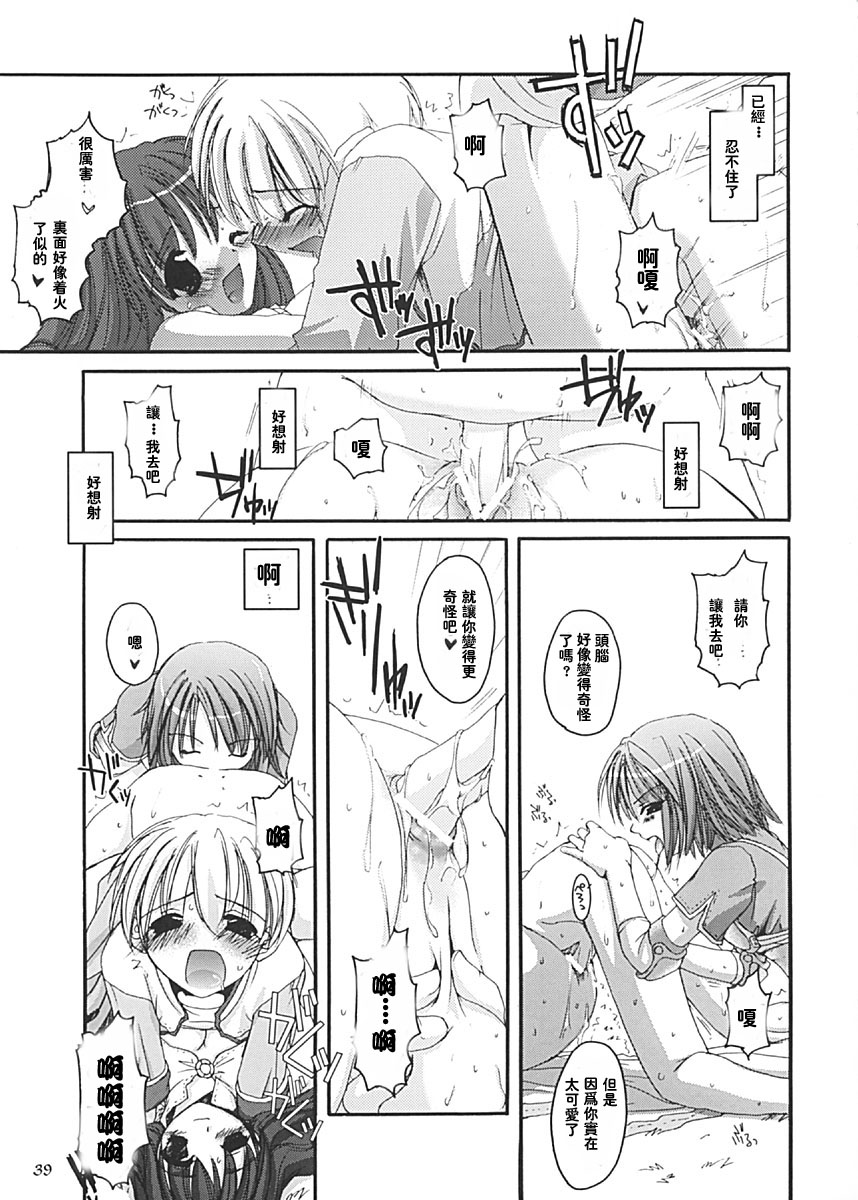 (C62) [Digital Lover (Nakajima Yuka)] D.L. Action 13 (Ragnarok Online) [Chinese] [2DJ漢化組] - Page 39