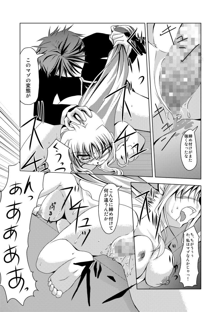 (C74) [TRICKorTREAT (Kagura Tsukune)] InSulT II (Mahou Shoujo Lyrical Nanoha) - Page 18