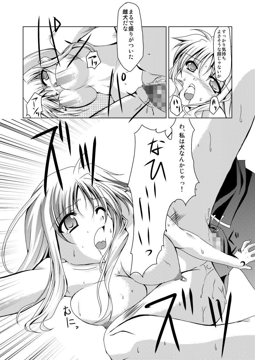 (C74) [TRICKorTREAT (Kagura Tsukune)] InSulT II (Mahou Shoujo Lyrical Nanoha) - Page 19