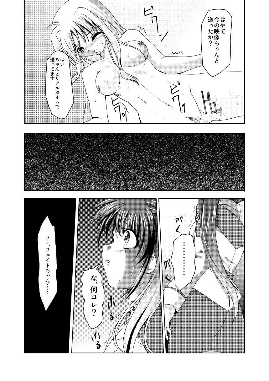 (C74) [TRICKorTREAT (Kagura Tsukune)] InSulT II (Mahou Shoujo Lyrical Nanoha) - Page 24