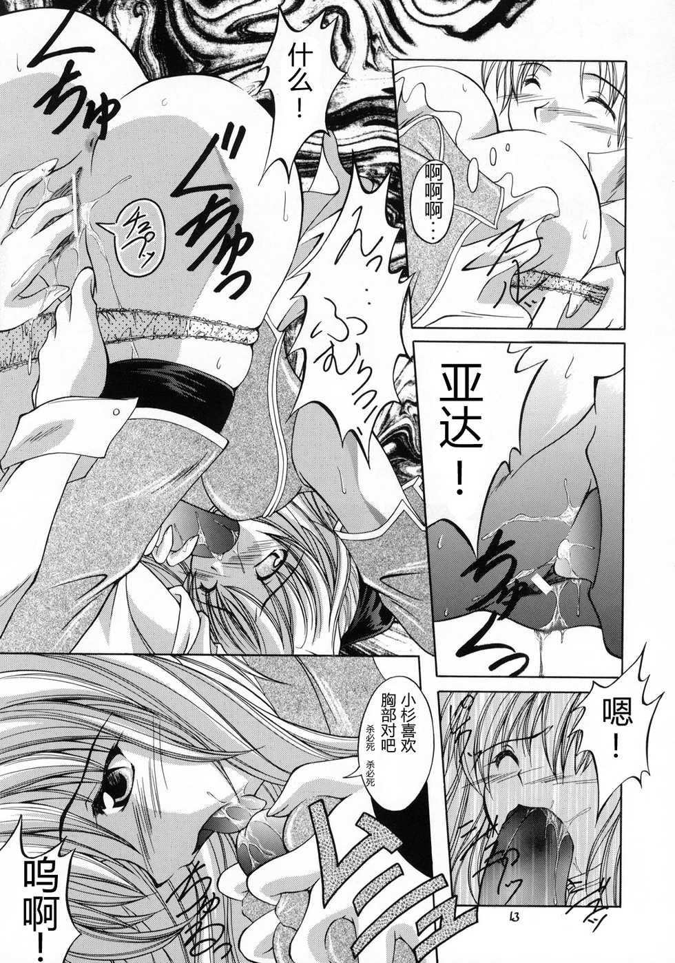 (C65) [RED RIBBON REVENGER (Various)] Kaze no Yousei (Elemental Gelade) [Chinese] [眞翼神社汉化] - Page 12