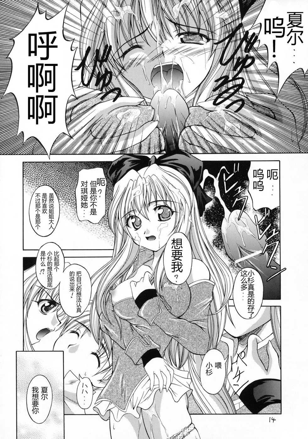 (C65) [RED RIBBON REVENGER (Various)] Kaze no Yousei (Elemental Gelade) [Chinese] [眞翼神社汉化] - Page 13