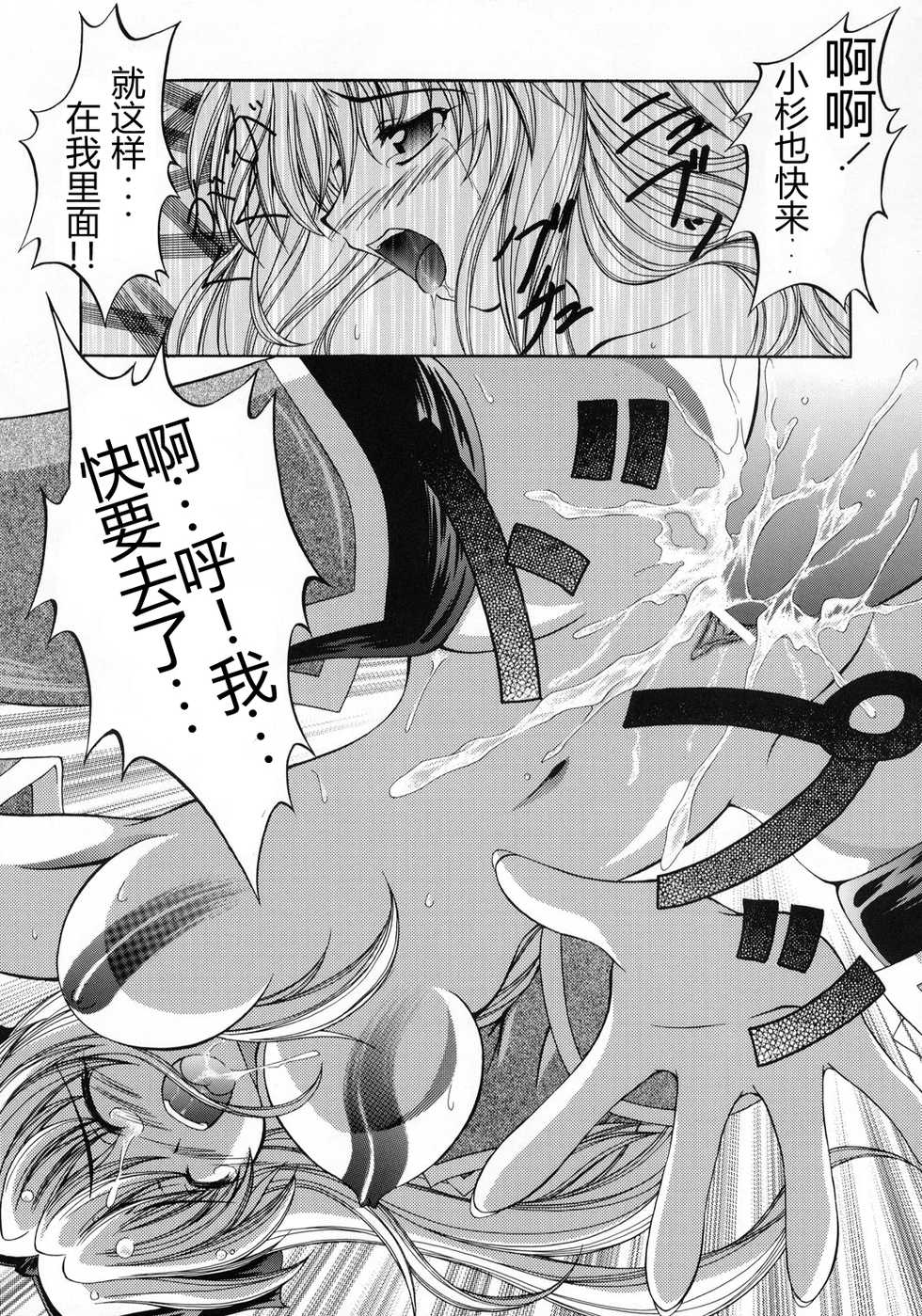 (C65) [RED RIBBON REVENGER (Various)] Kaze no Yousei (Elemental Gelade) [Chinese] [眞翼神社汉化] - Page 16