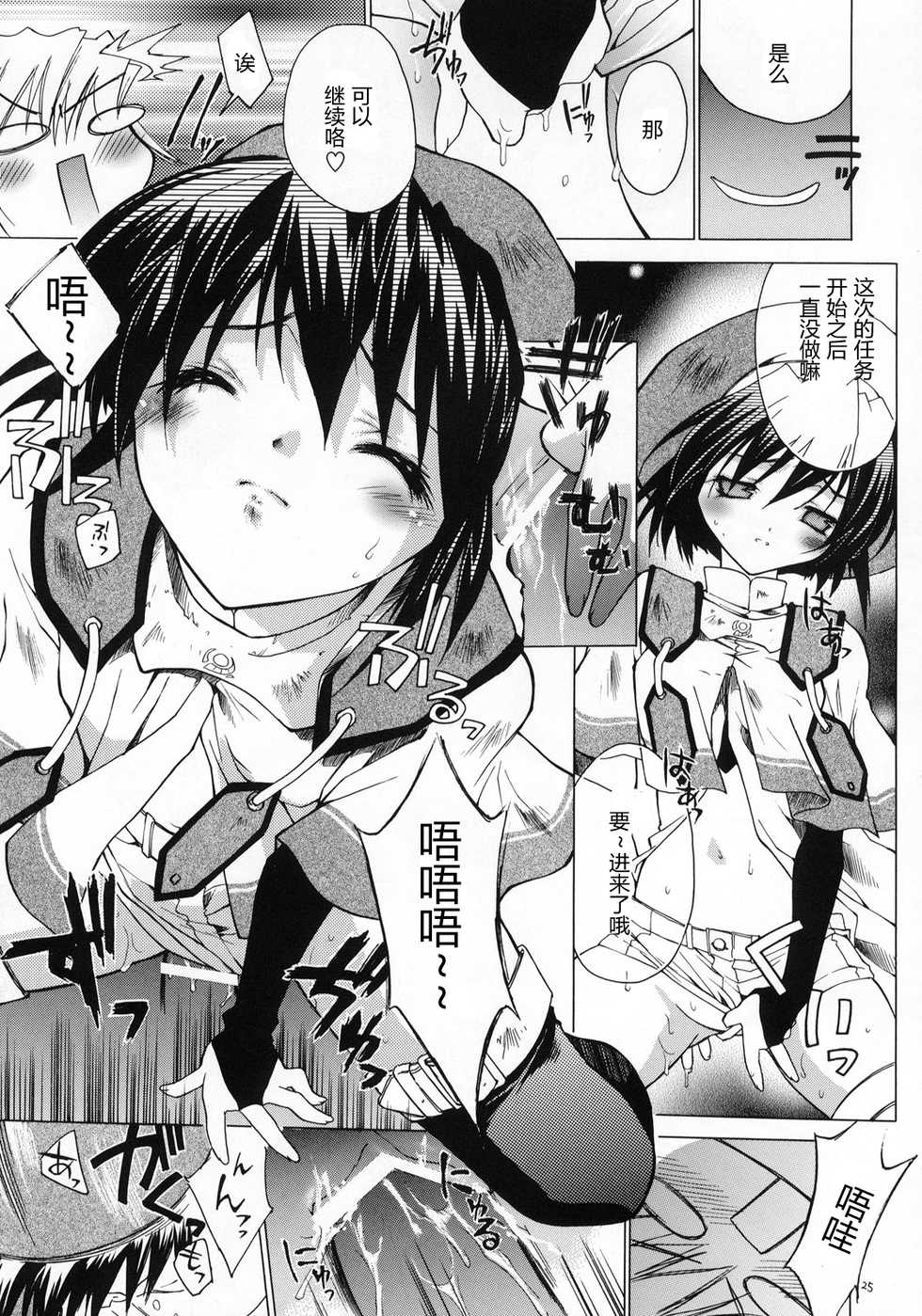 (C65) [RED RIBBON REVENGER (Various)] Kaze no Yousei (Elemental Gelade) [Chinese] [眞翼神社汉化] - Page 24