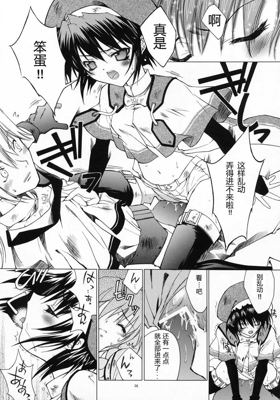 (C65) [RED RIBBON REVENGER (Various)] Kaze no Yousei (Elemental Gelade) [Chinese] [眞翼神社汉化] - Page 25