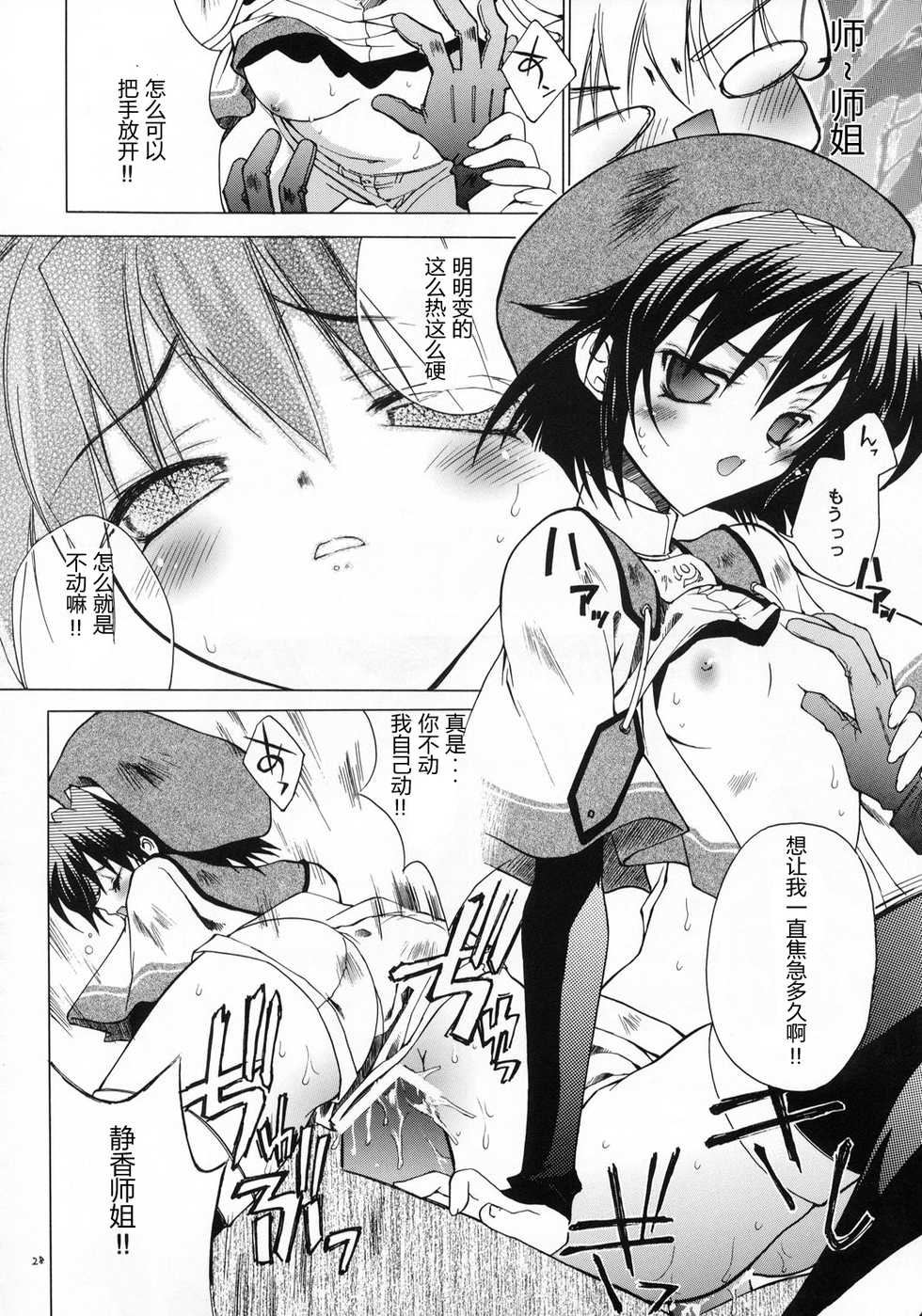 (C65) [RED RIBBON REVENGER (Various)] Kaze no Yousei (Elemental Gelade) [Chinese] [眞翼神社汉化] - Page 27