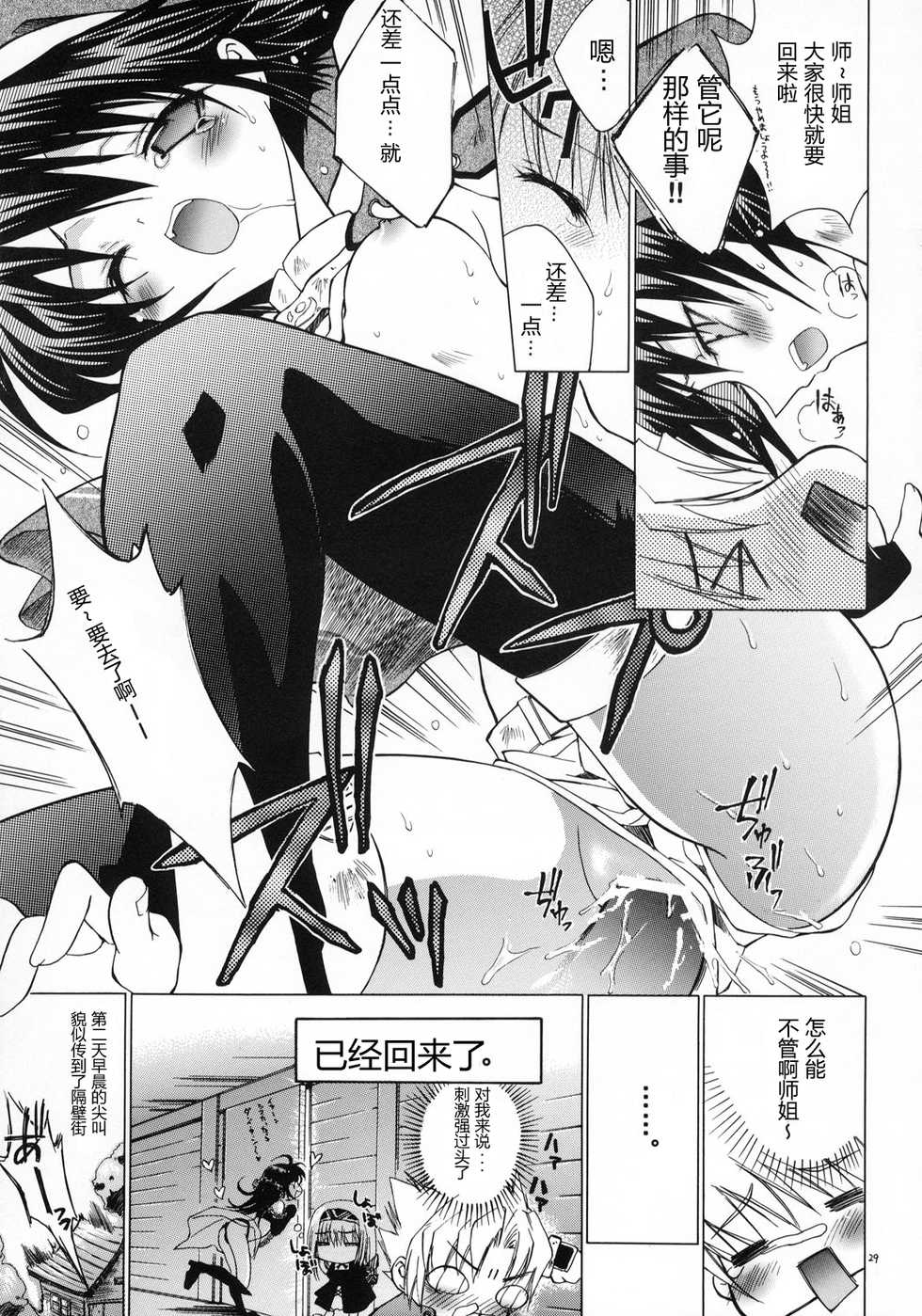 (C65) [RED RIBBON REVENGER (Various)] Kaze no Yousei (Elemental Gelade) [Chinese] [眞翼神社汉化] - Page 28