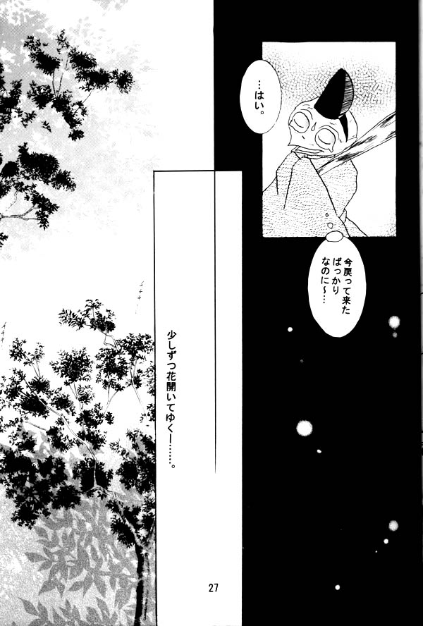 (C65) [Hero Hero Honpo (Kamiryou Kaduki)] Tsuki No Himegoto (Inuyasha) - Page 25