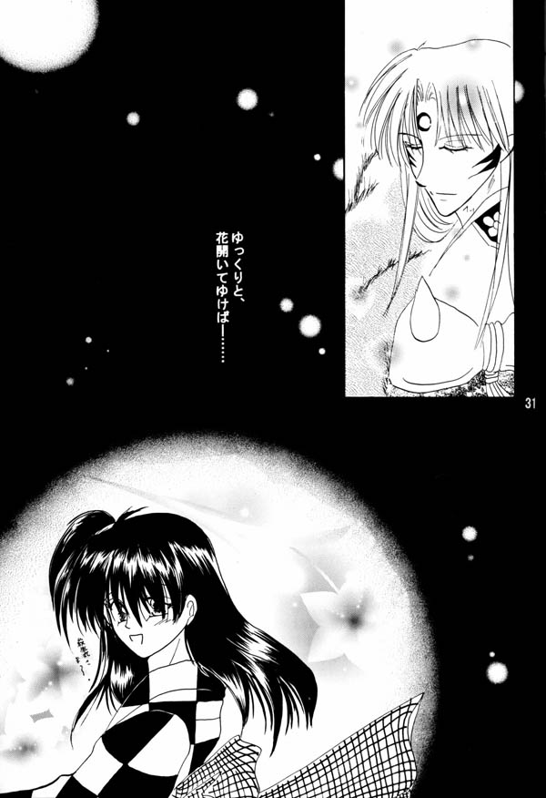 (C65) [Hero Hero Honpo (Kamiryou Kaduki)] Tsuki No Himegoto (Inuyasha) - Page 29