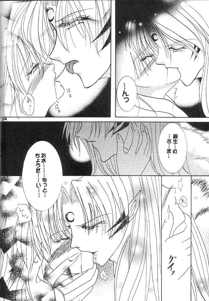 (Comic Creation 13) [Hero Hero Honpo (Kamiryou Kaduki)] VELVET LOVE (Inuyasha) - Page 23