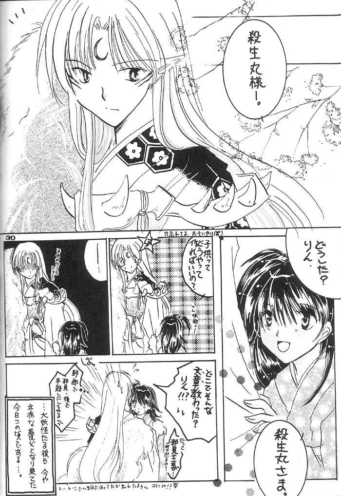 (Comic Creation 13) [Hero Hero Honpo (Kamiryou Kaduki)] VELVET LOVE (Inuyasha) - Page 29