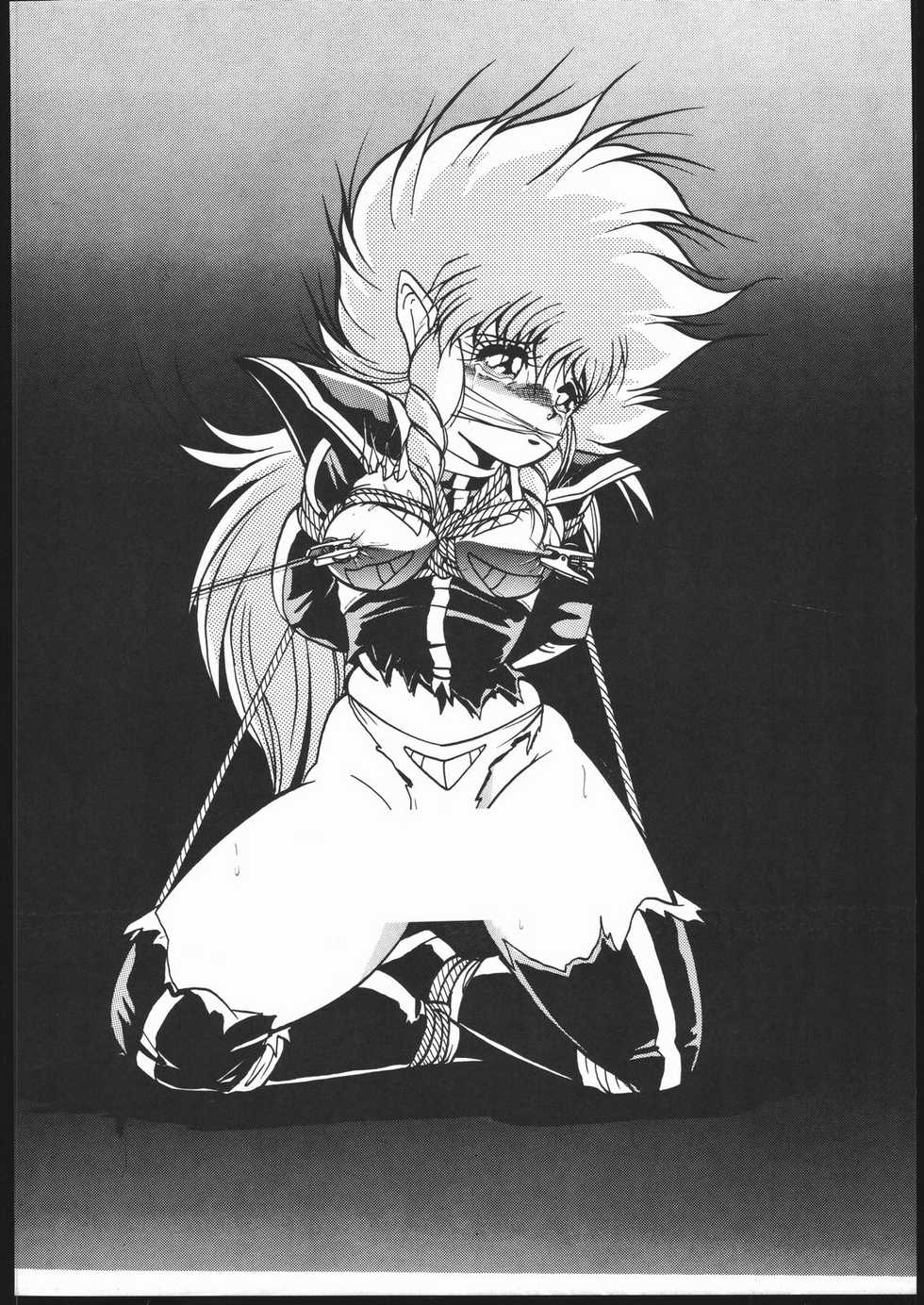 (C44) [Z.AGNIM (Azuma Kyouto)] Douga Komusume-zou Kaihan (Various) - Page 13