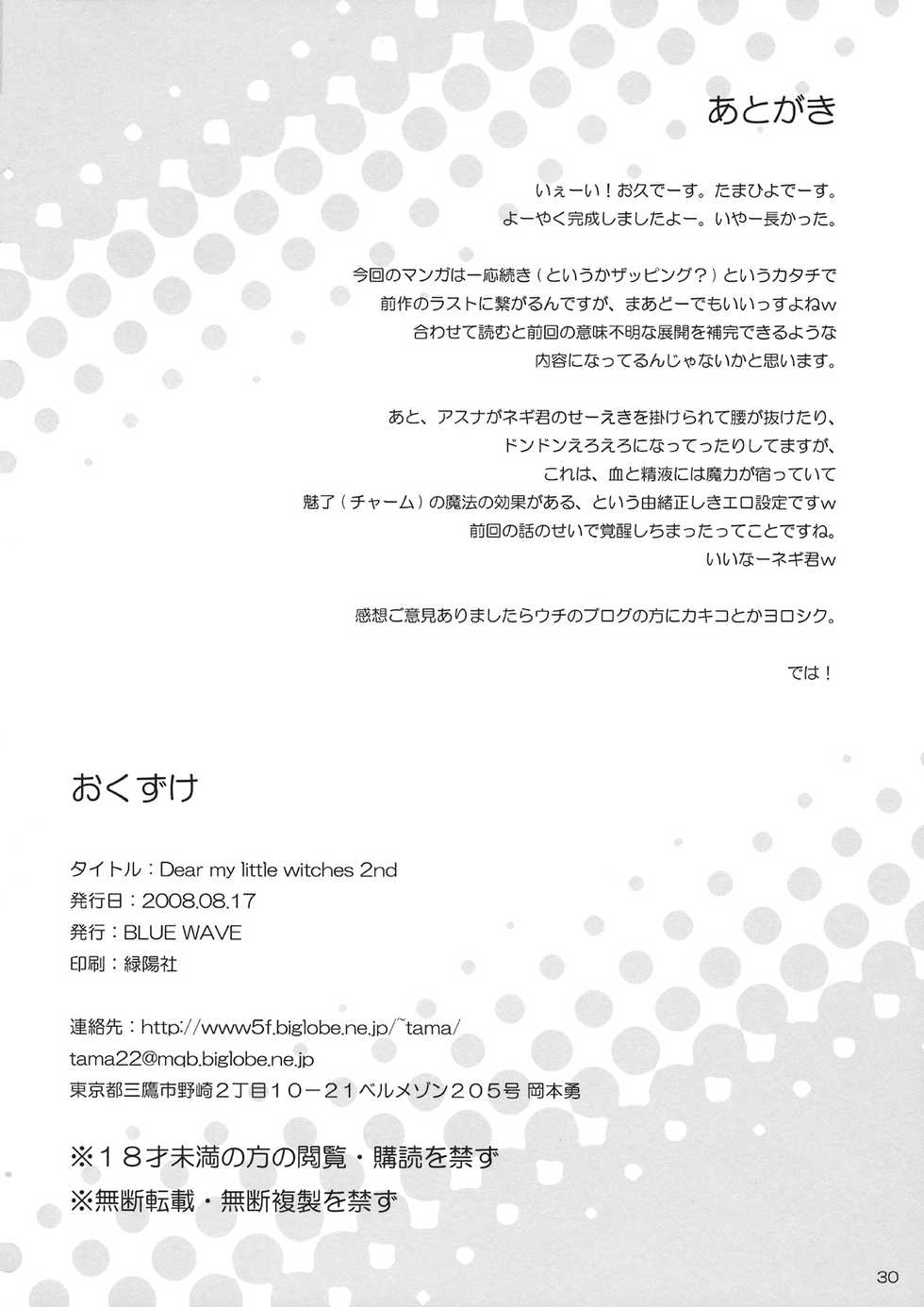 (C74) [BLUE WAVE (Tamahiyo)] Dear My Little Witches 2nd (Mahou Sensei Negima!) [English] [UFW] - Page 29