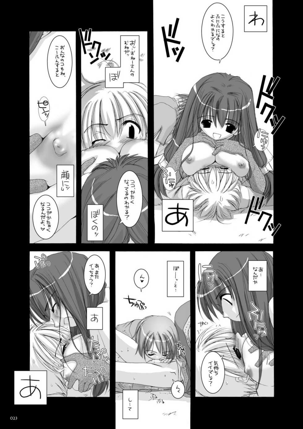 [Digital Lover (Nakajima Yuka)] DL-RO Soushuuhen 01 - DL-RO Perfect Collection No. 01 (Ragnarok Online) [Digital] - Page 22