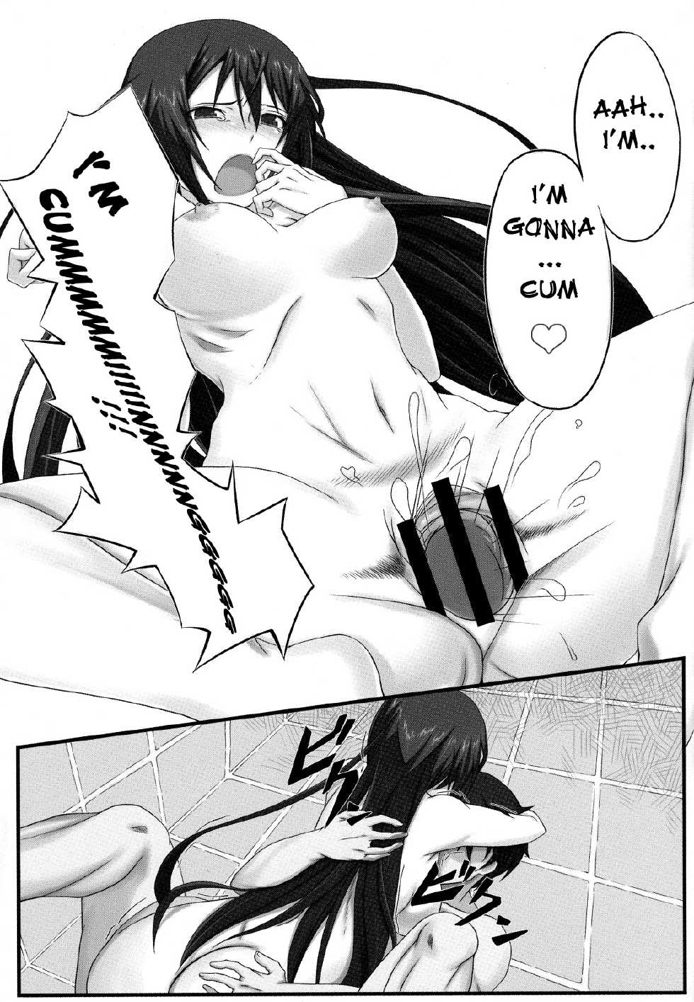 (COMIC1☆5) [Wonderful Life (Emanon)] Shinonono! (IS <Infinite Stratos>) [English] [Kibitou4Life] - Page 20