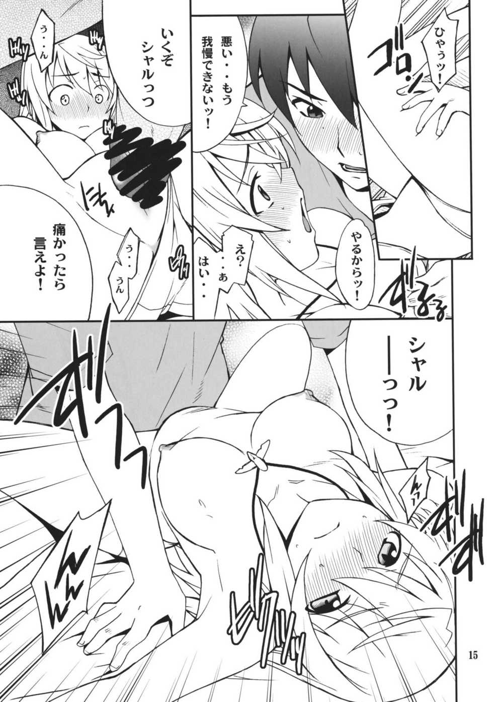 (COMIC1☆5) [P-FOREST (Hozumi Takashi)] Charlotte de Night (IS <Infinite Stratos>) - Page 14