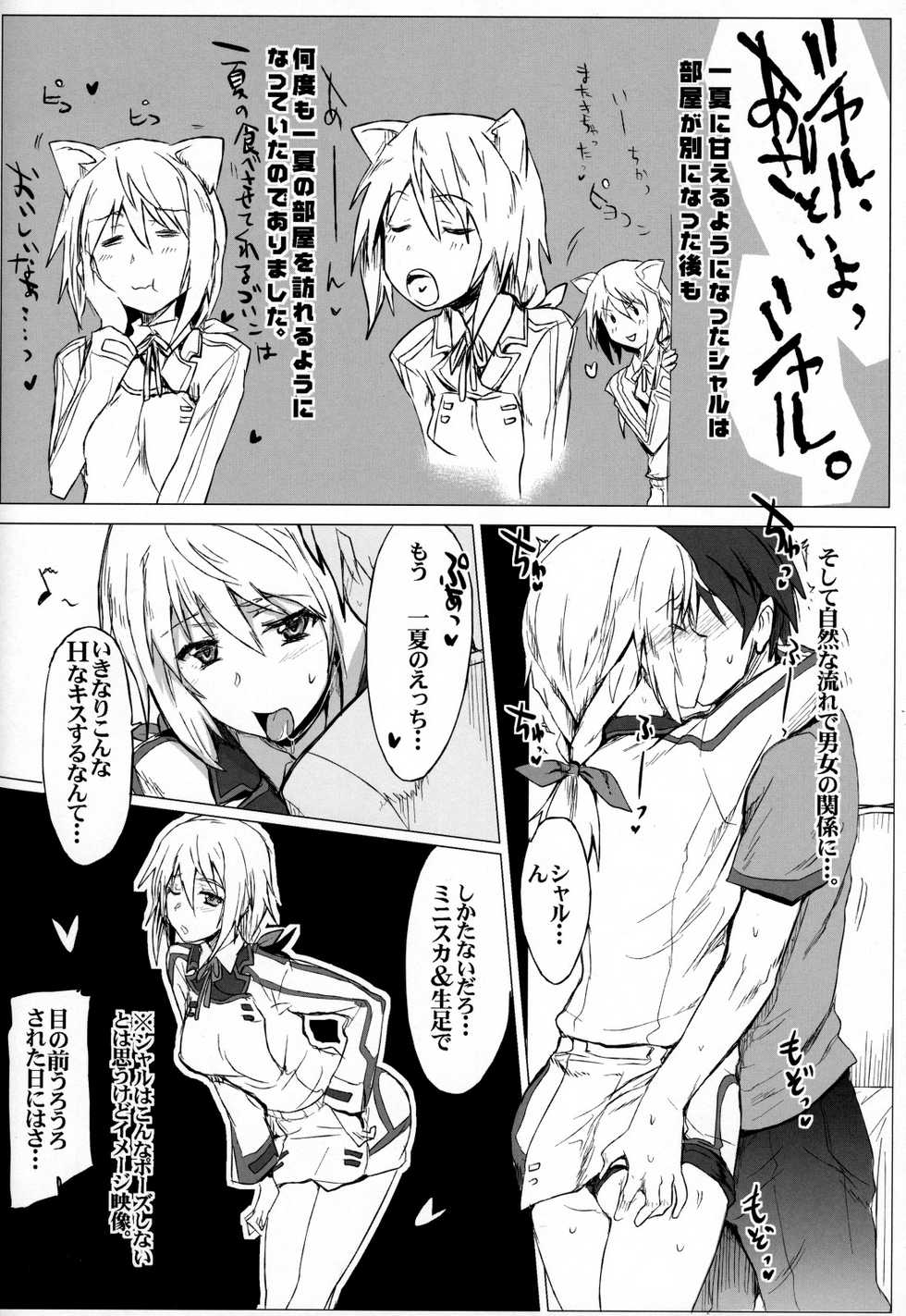 (COMIC1☆5) [RIBI Dou (Higata Akatsuki)] IS Girl's (IS <Infinite Stratos>) - Page 15