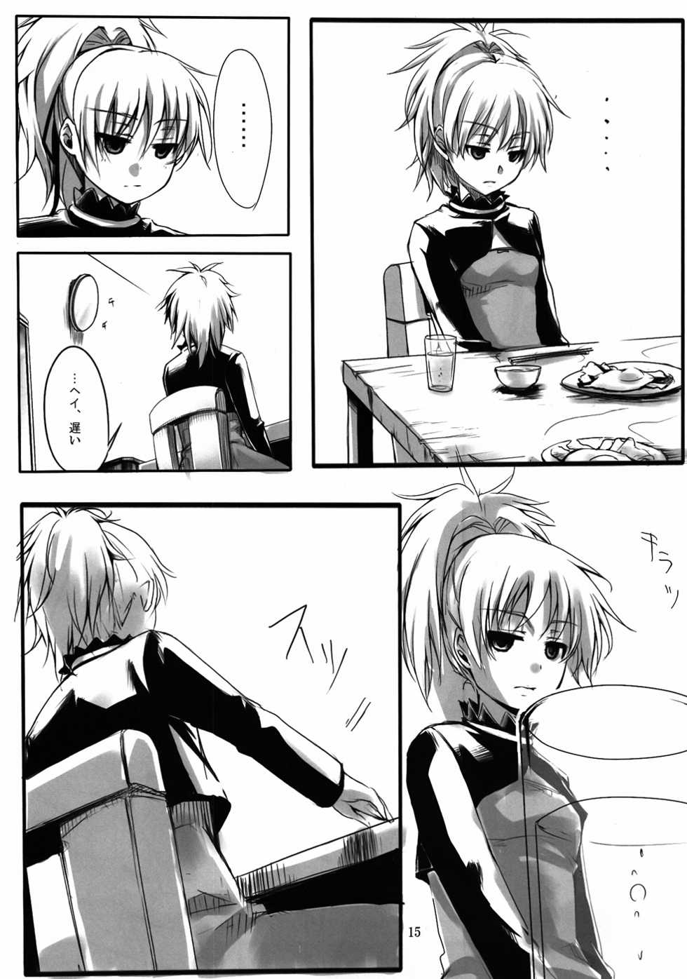 (Puniket 22) [TWILIGHT DUSK (Aikura Mahiru, Aikura Shuuya)] Yome vs Yome (DARKER THAN BLACK) - Page 14