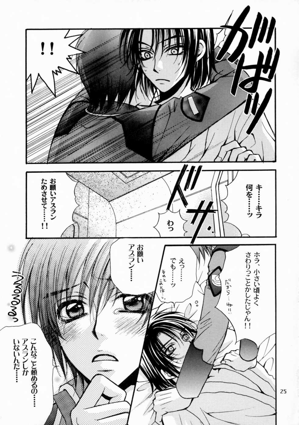 [Kozouya (Eiki Eiki, Zaou Taishi)] Boku no Chikyuu wo Mamotte (Gundam SEED) - Page 25