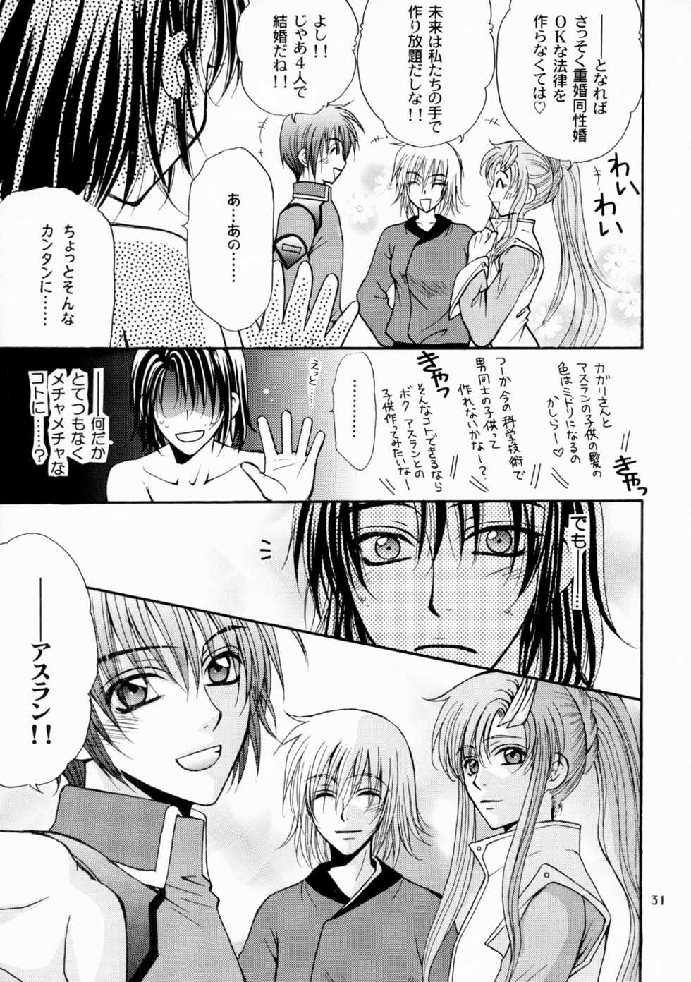 [Kozouya (Eiki Eiki, Zaou Taishi)] Boku no Chikyuu wo Mamotte (Gundam SEED) - Page 31
