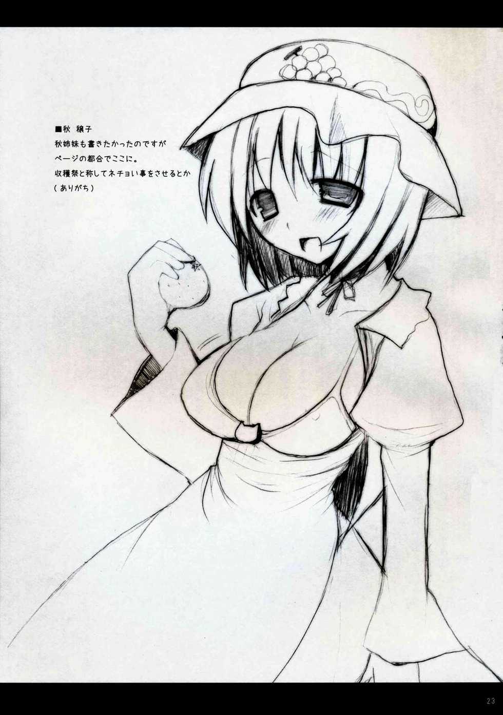 (Reitaisai 5) [TOYBOX, Kujira Logic (Kurikara, Kujiran)] Gensoukyou Chichi Zukan - Fuu (Touhou Project) - Page 22
