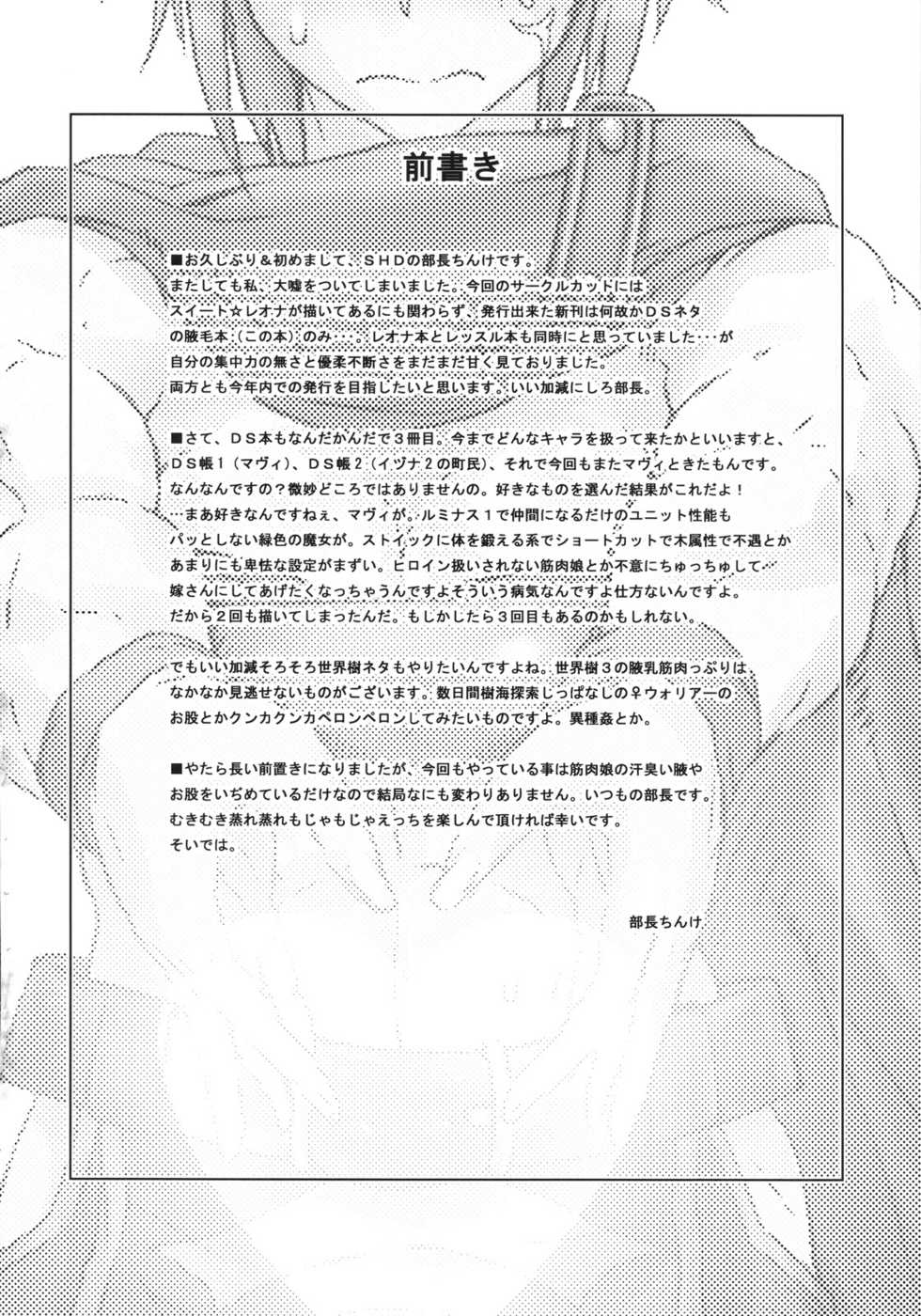 (C78) [SHD (Buchou Chinke, Hiromi)] Haijo DS Chou 3 -Eyes- (Luminous Arc) [English] [Kusanyagi] - Page 3