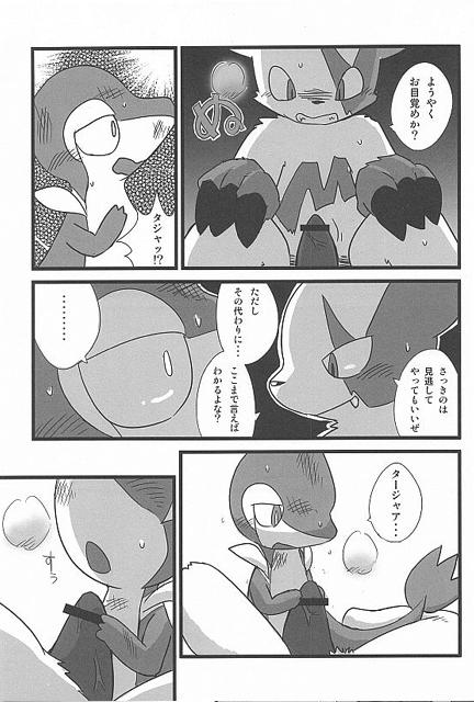 (Fur-st) [Dogear (Inumimi Moeta, Kurou Karasu)] Tsutahebishiiku Nisshi (Pokémon) - Page 9