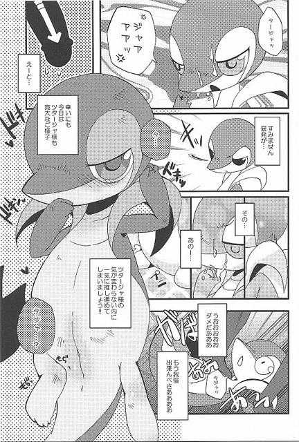 (Fur-st) [Dogear (Inumimi Moeta, Kurou Karasu)] Tsutahebishiiku Nisshi (Pokémon) - Page 19