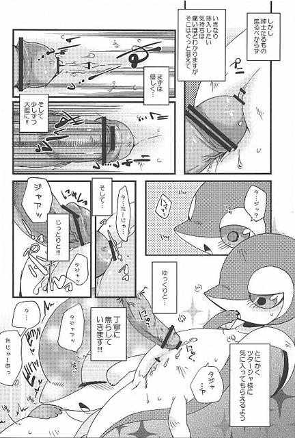 (Fur-st) [Dogear (Inumimi Moeta, Kurou Karasu)] Tsutahebishiiku Nisshi (Pokémon) - Page 20