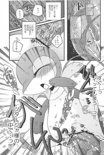 (Fur-st) [Dogear (Inumimi Moeta, Kurou Karasu)] Tsutahebishiiku Nisshi (Pokémon) - Page 23