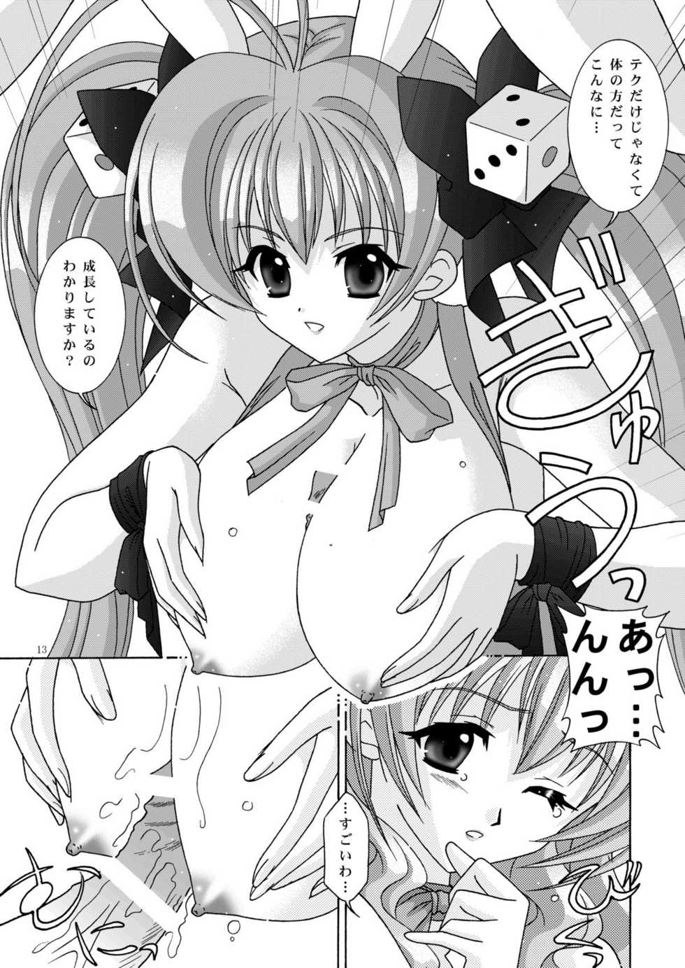 (C65) [Bousou!! Fuhatsudan (Takai Biki)] BOOB&times;BOOB2 (Di Gi Charat) - Page 12