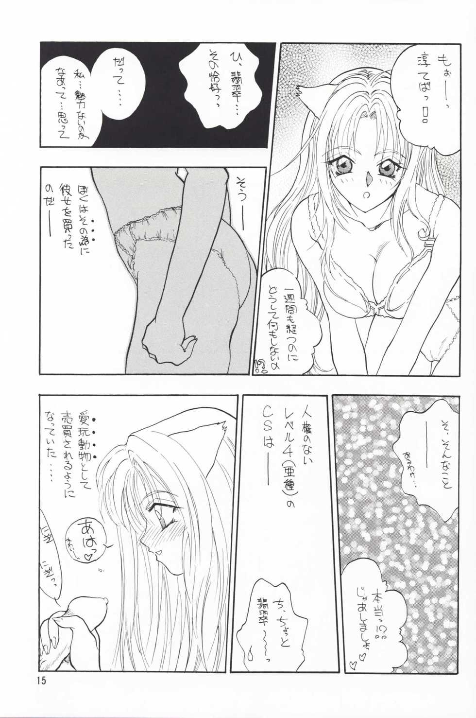 (C57) [Team Plus-Y (Various)] Plus-Y Vol. 25 Kemomimix - Page 14