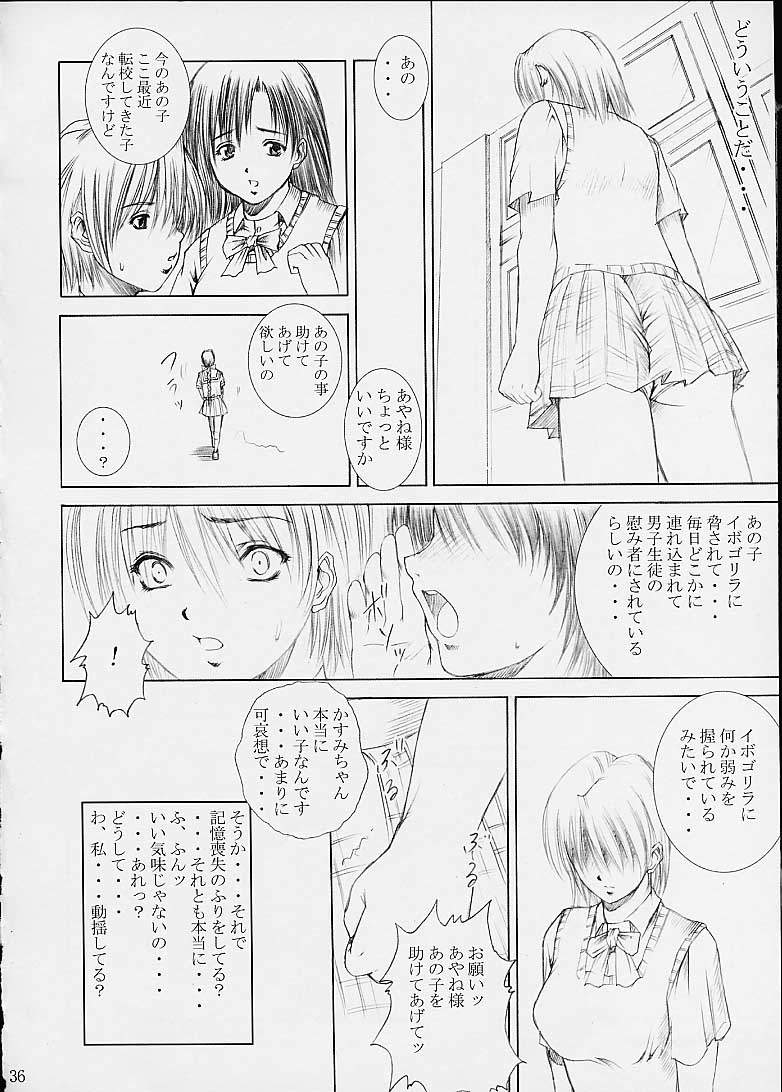 [Abura Katabura (Papipurin)] Aishimai Hirenka (Dead or Alive) - Page 32