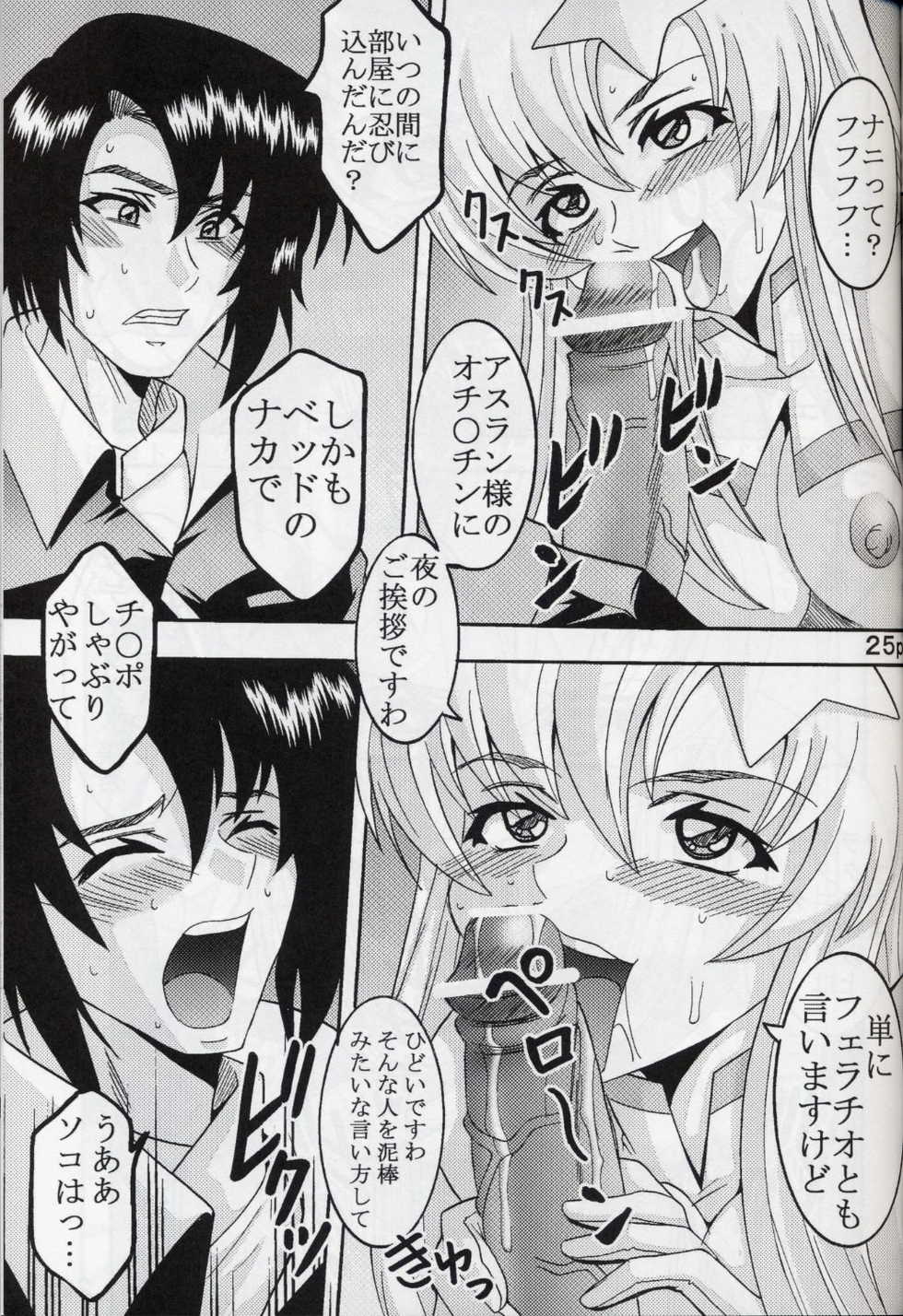 [St. Rio (Kitty, Kouenji Rei)] COSMIC BREED 5 (Gundam SEED DESTINY) - Page 26