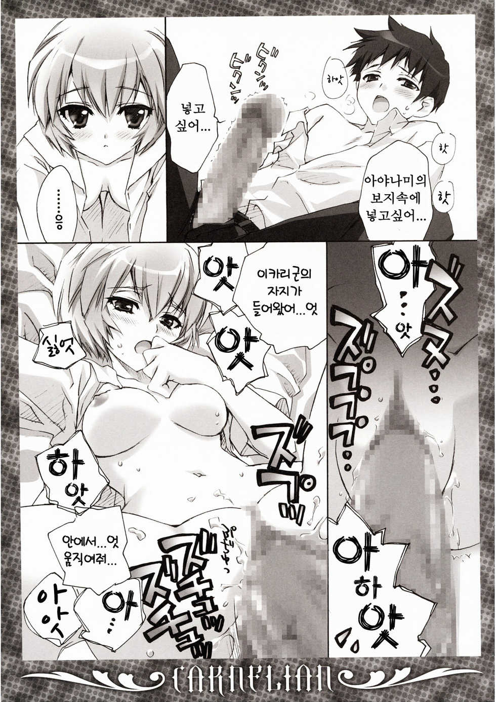 (C78) [CARNELIAN] Ikari-kun to Pokapoka Shitai...... (Neon Genesis Evangelion) [Korean] [Project H] - Page 12